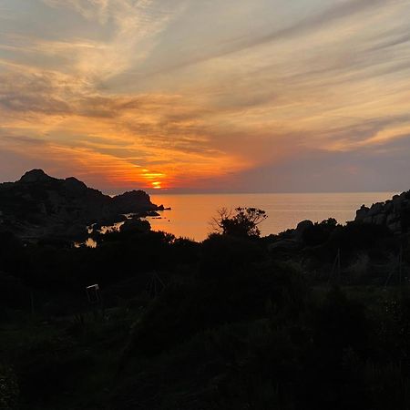 Gli Oleandri Di Calarossa - 5M Walk To The Beach イーゾラ・ロッサ エクステリア 写真